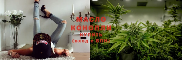 индика Верхний Тагил