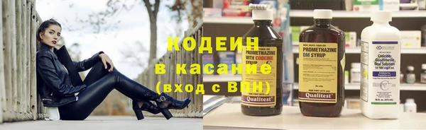 индика Верхний Тагил