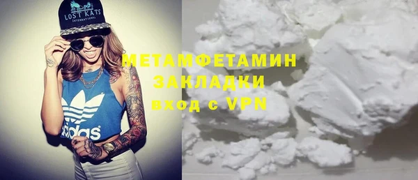 индика Верхний Тагил