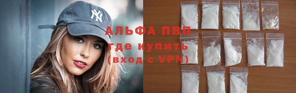 индика Верхний Тагил