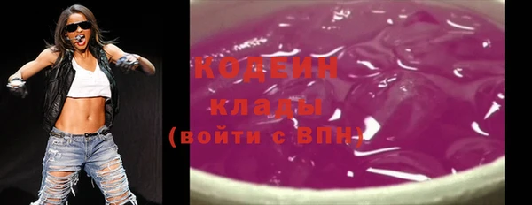 индика Верхний Тагил