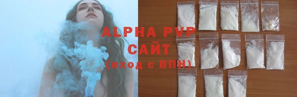 индика Верхний Тагил