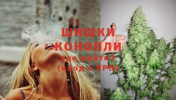 индика Верхний Тагил