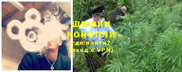 индика Верхний Тагил