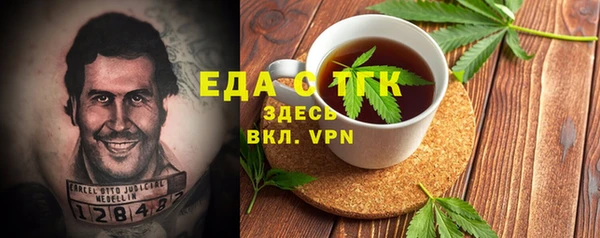 индика Верхний Тагил