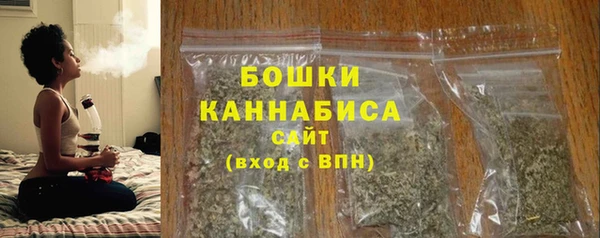 индика Верхний Тагил