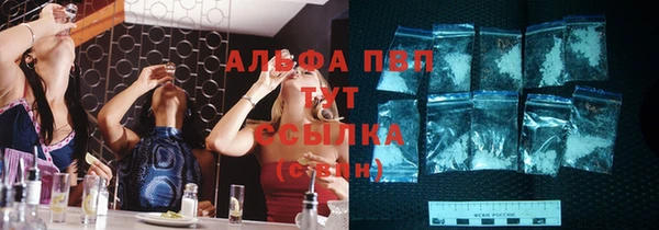 индика Верхний Тагил
