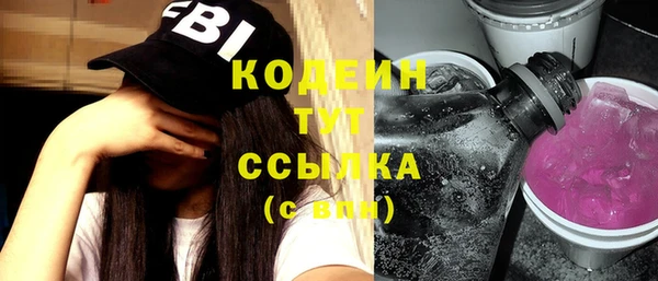 индика Верхний Тагил