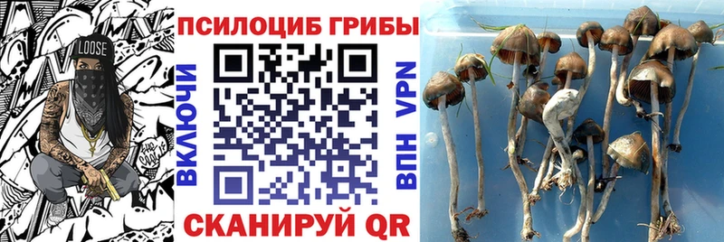 Псилоцибиновые грибы MAGIC MUSHROOMS Махачкала