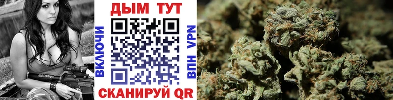 shop официальный сайт  что такое   Махачкала  Каннабис VHQ 